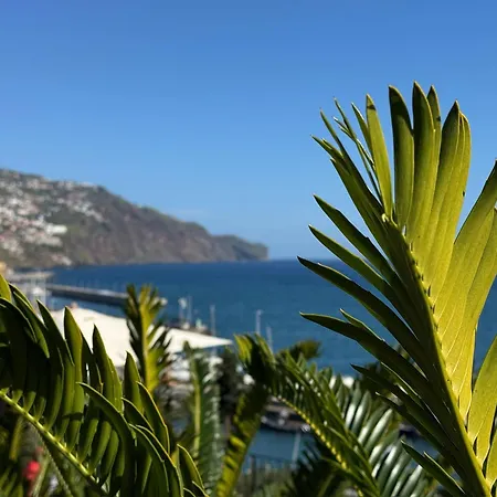 O Cantinho Do Ze - Signature アパート *