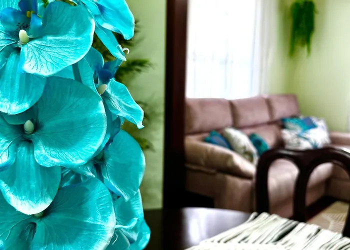 O Cantinho Do Ze - Signature