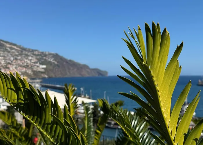 O Cantinho Do Ze - Signature アパート *