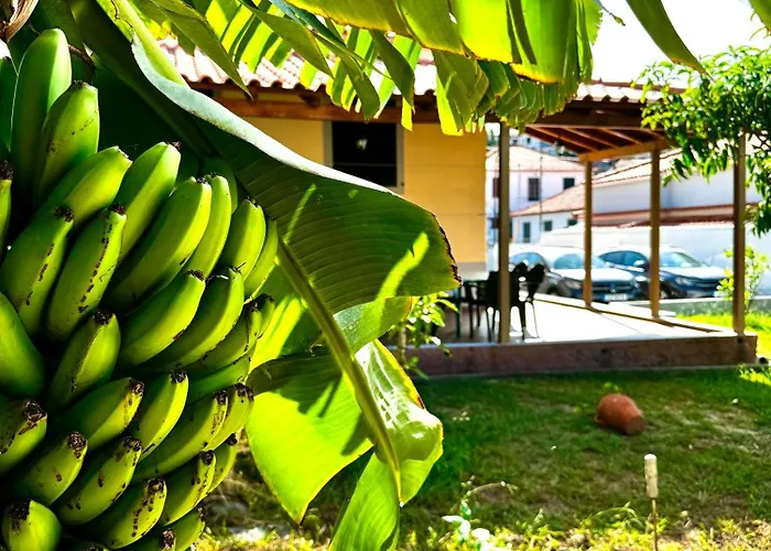 O Cantinho Do Zé - Signature * Funchal (Madeira)