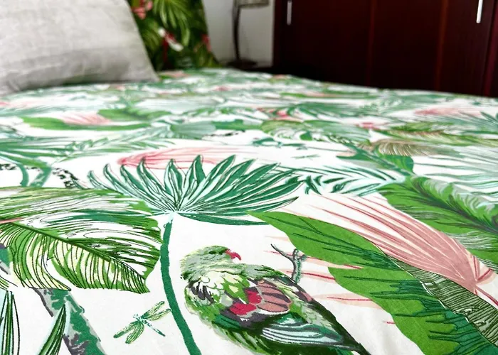 O Cantinho Do Ze - Signature *