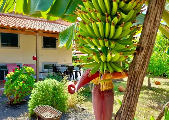 O Cantinho Do Zé - Signature Appartement